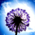 Lightbox triggered by Image