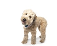 I just heared a good joke !