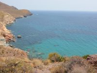 Donec interdum metus et